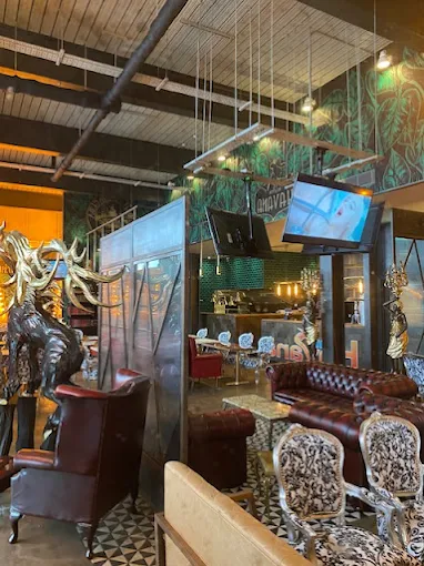 cafe havana brighton (11)